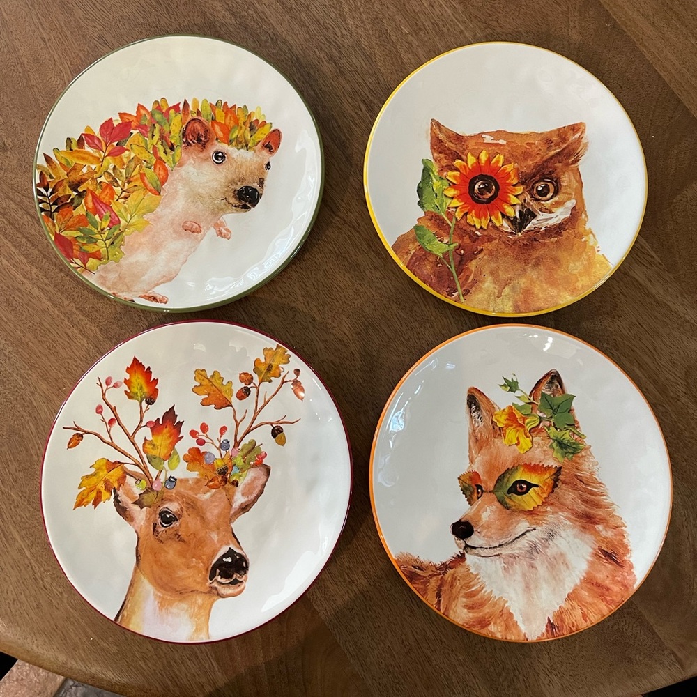 NWT pier1 salad/dessert plates.